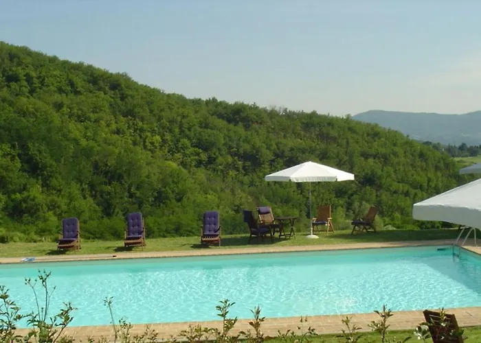 Magnolia E Camelia * Vicchio